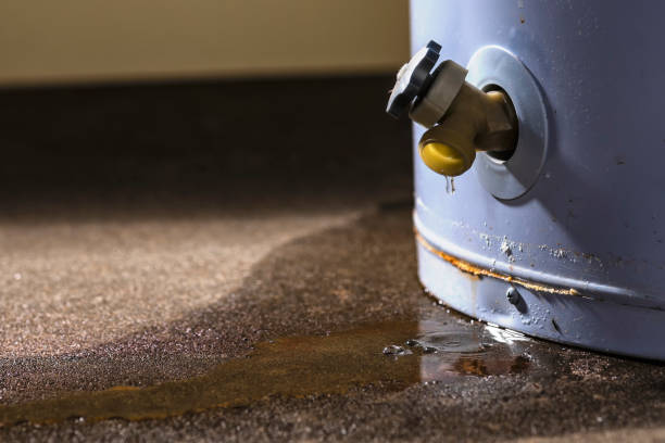 Best Water damage contractors near me  in Circle Pines, MN