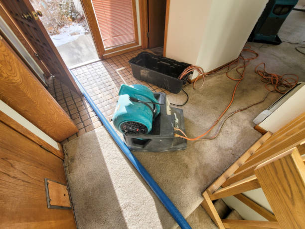 Best Emergency water damage restoration  in Circle Pines, MN