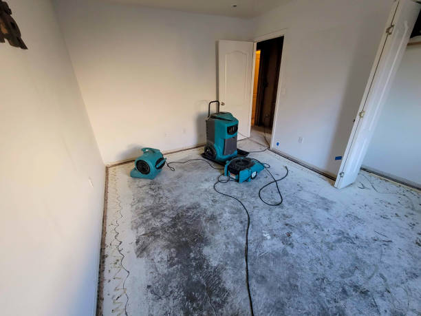  Circle Pines, MN Water damage restoration Pros