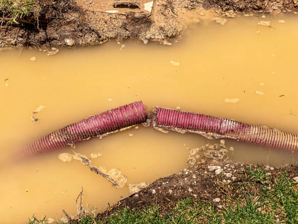 Best Emergency water extraction  in Circle Pines, MN